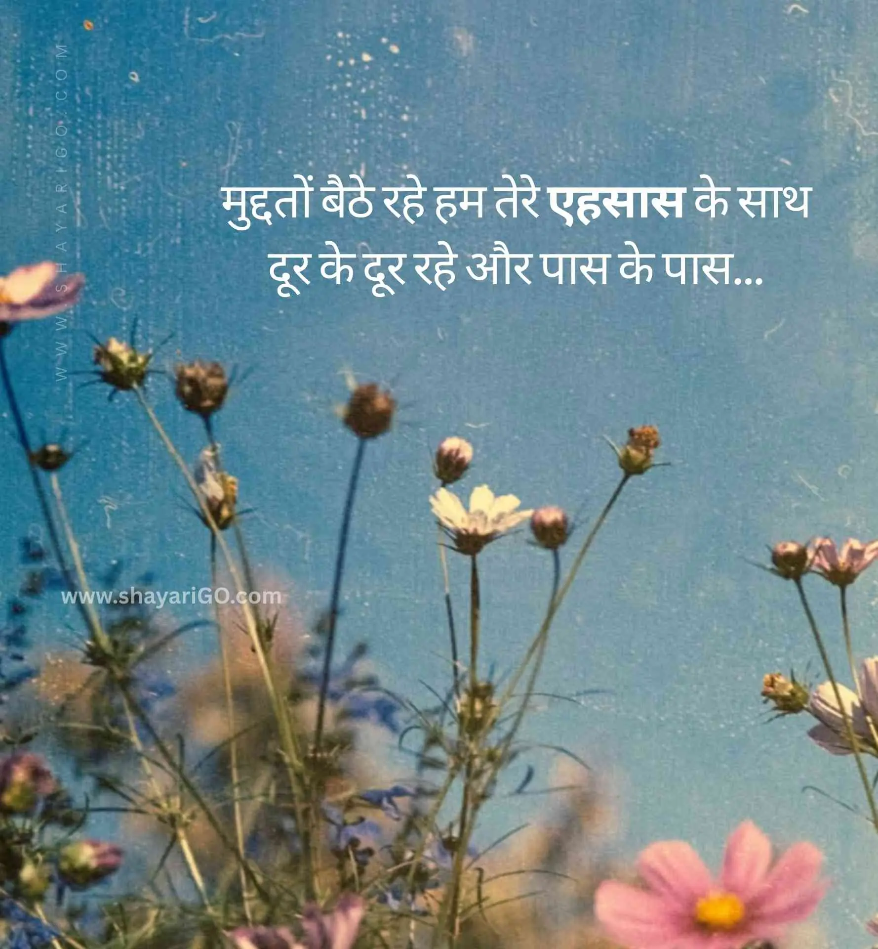 Two Line Shayari