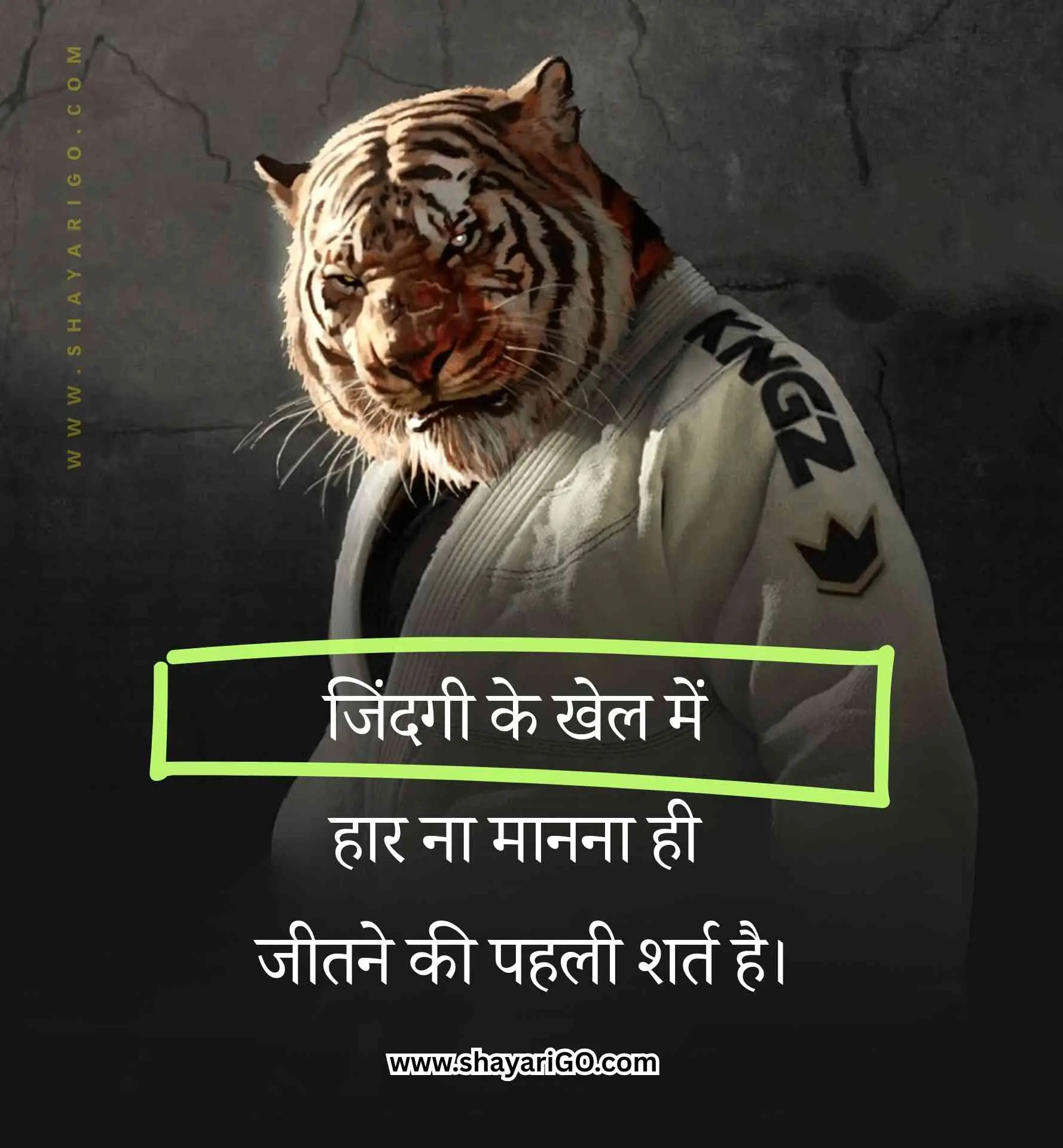 Attitude Status in Hindi