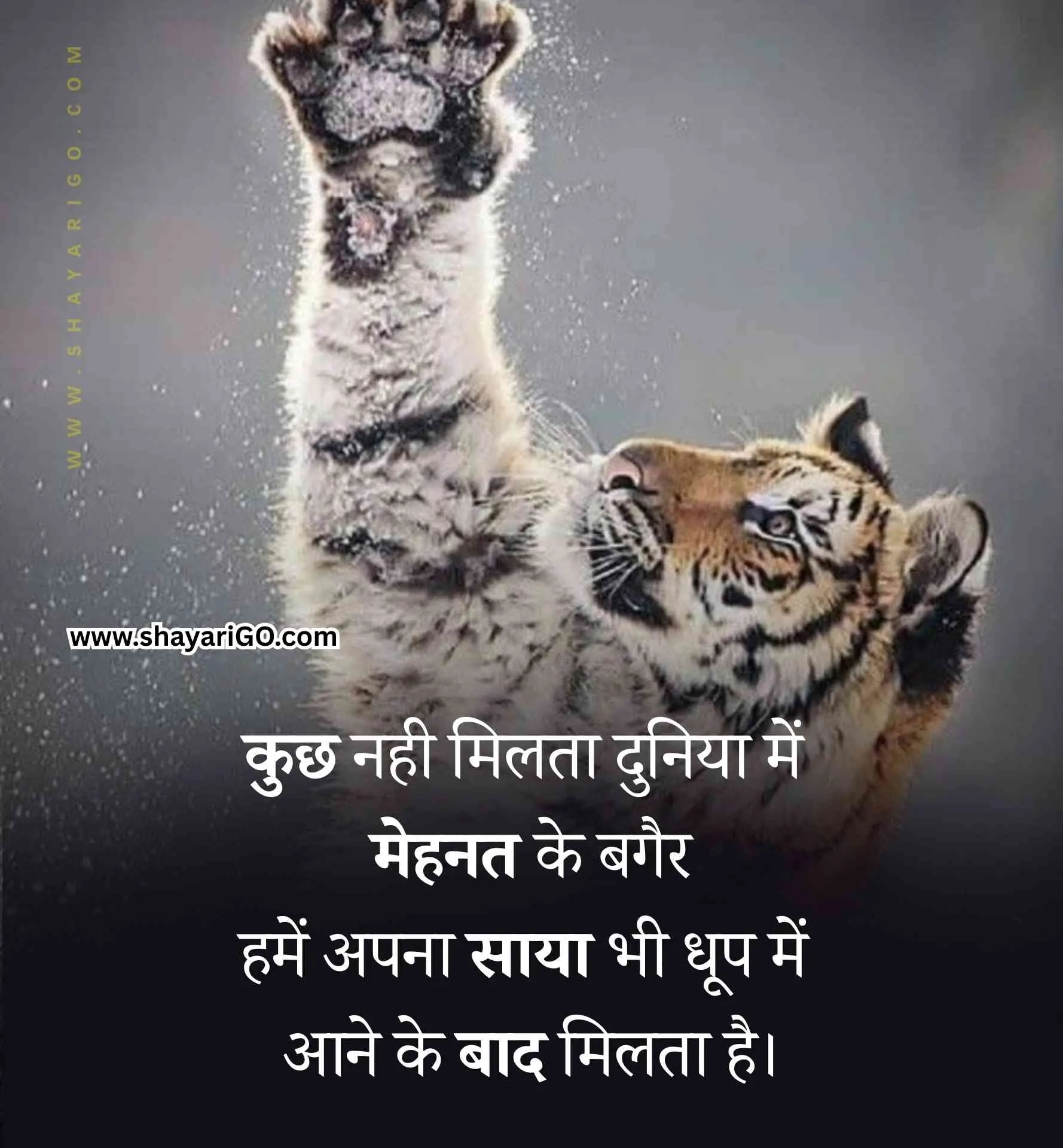 Attitude Status in Hindi