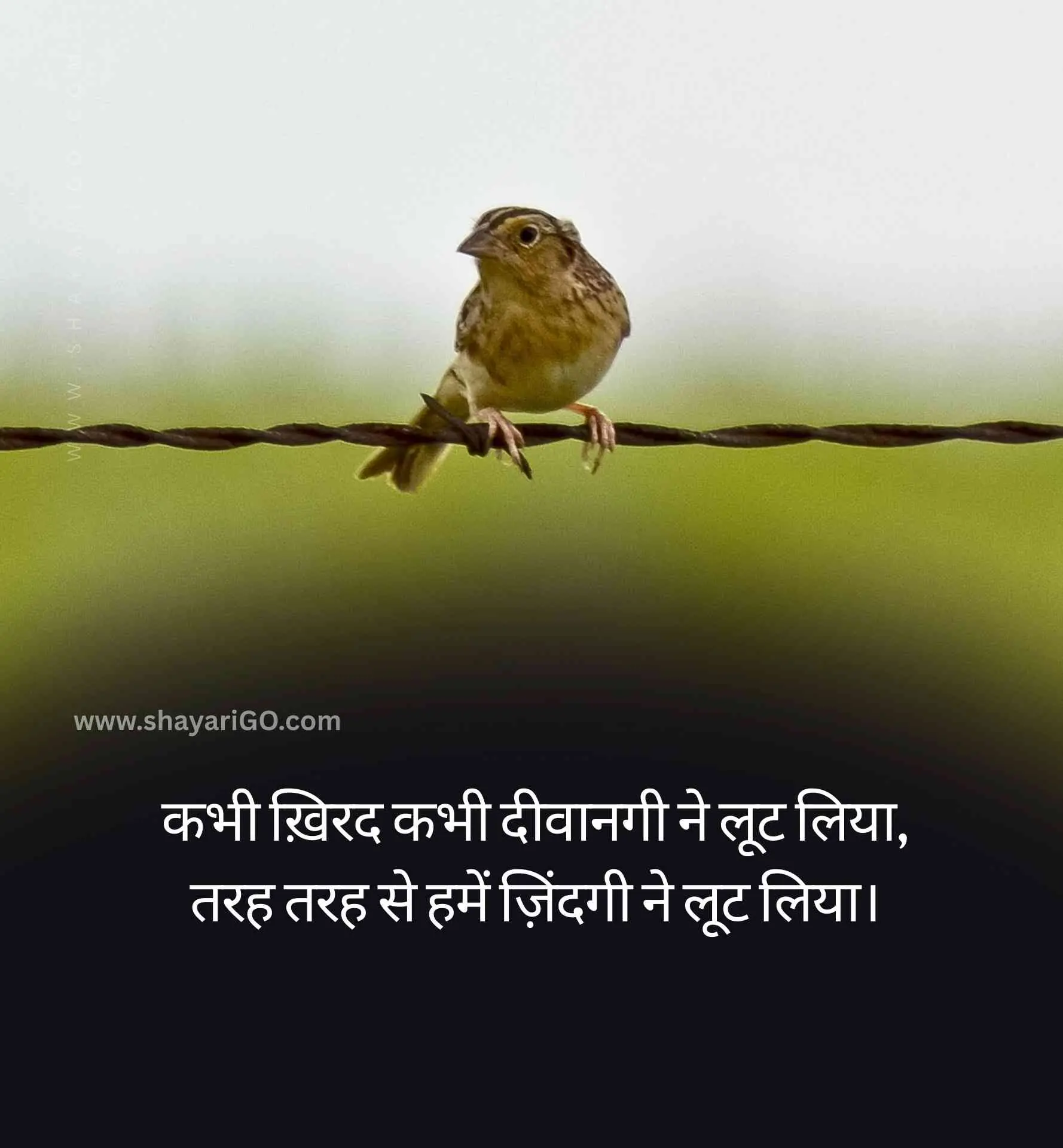 Sad Life Shayari in Hindi