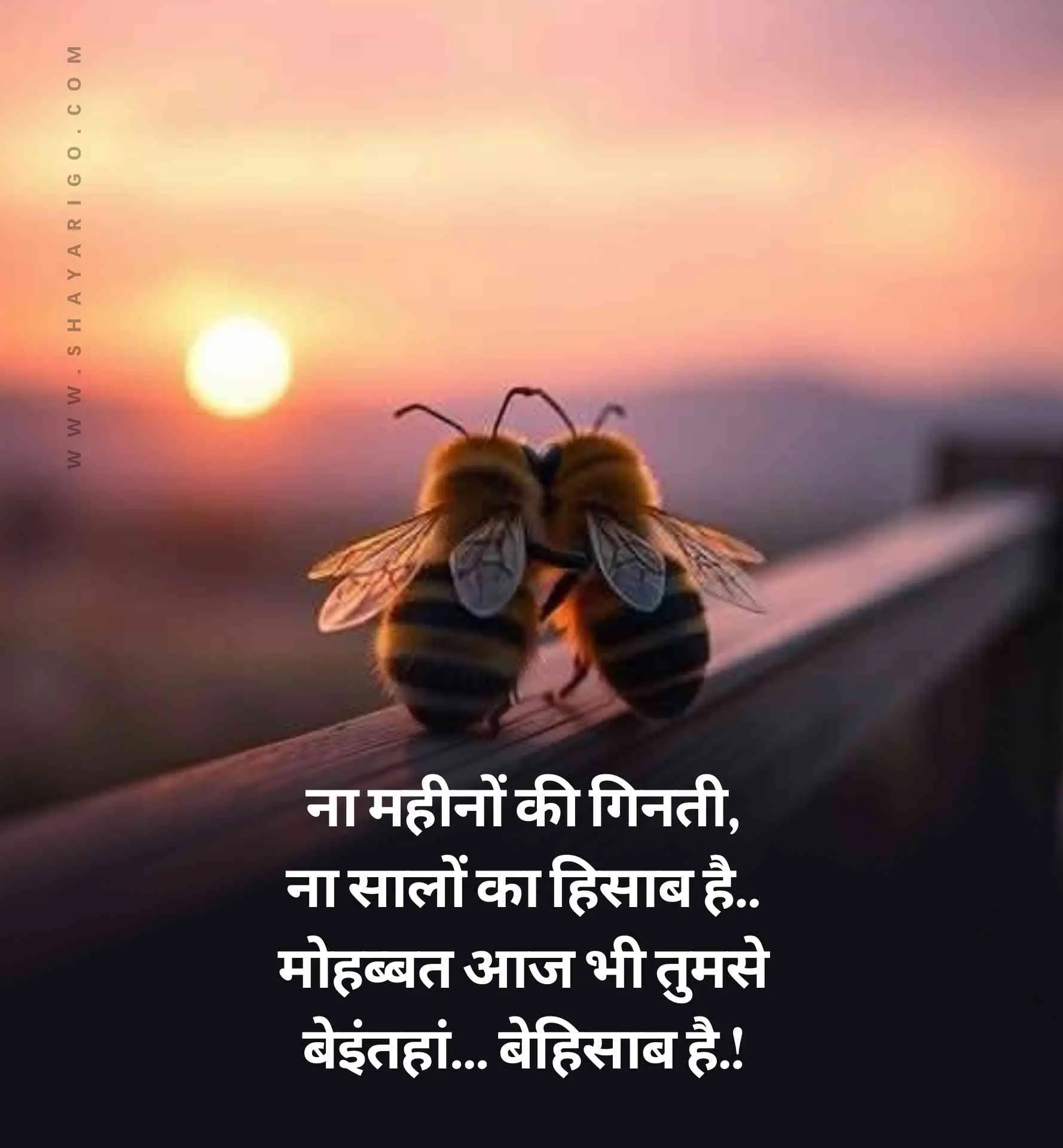 kiss Romantic Shayari