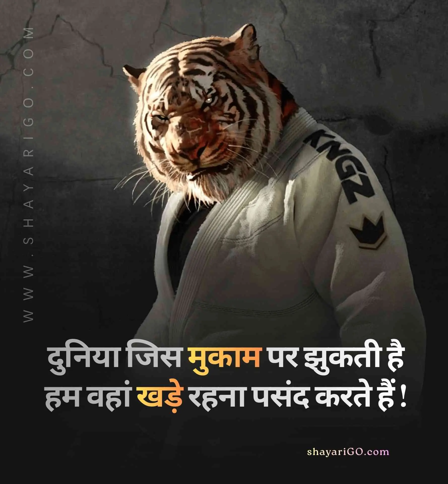 Best Royal Attitude Status in Hindi