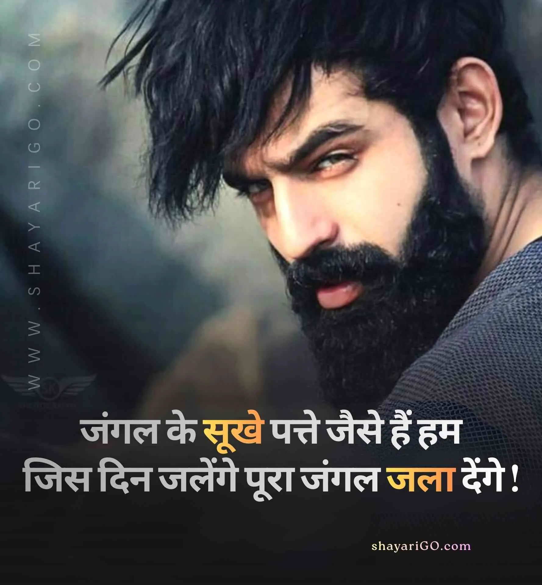 Royal Attitude Status in Hindi
