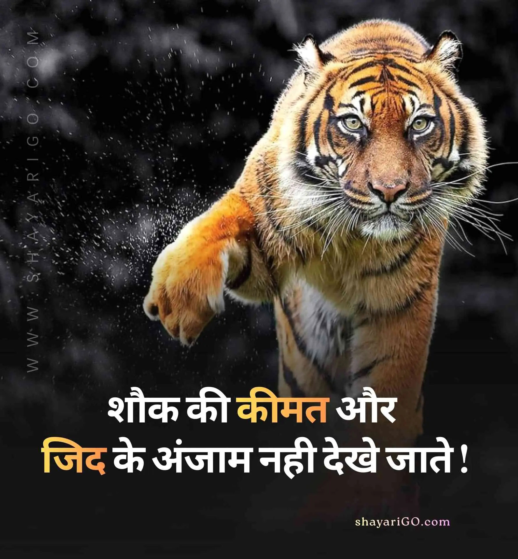 Bollywood Royal Attitude Status