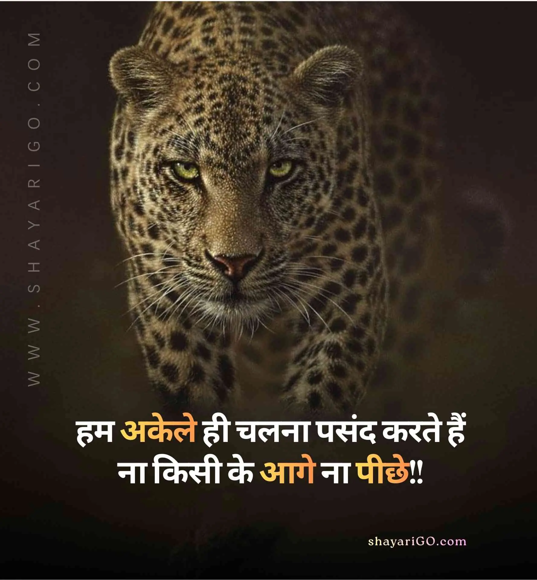 Royal Attitude Status in Hindi